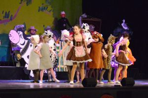 2015_Sitz_007