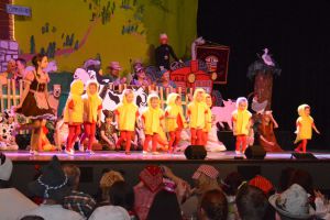 2015_Sitz_008