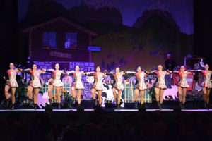2015_Sitz_010