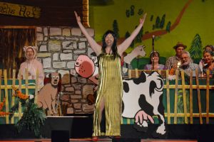 2015_Sitz_018